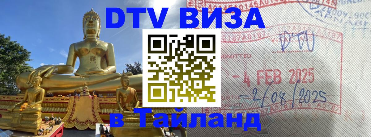 Оформление DTV визы под ключ: стоимость и тарифы, только загранпаспорт - 08.01.2026 